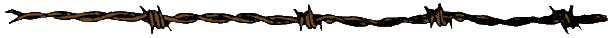 ---------------------